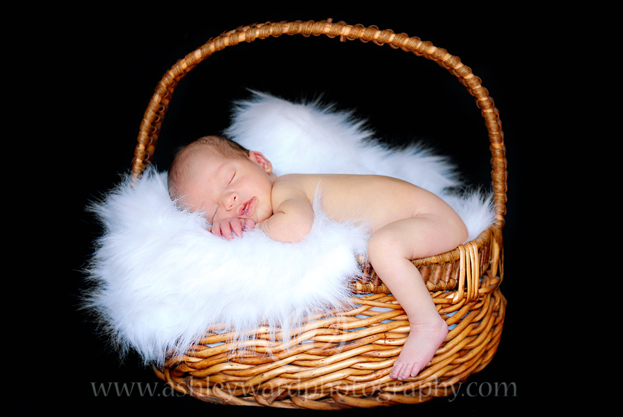 Baby in a Basket - copyright Ashley Ward Photography 2009